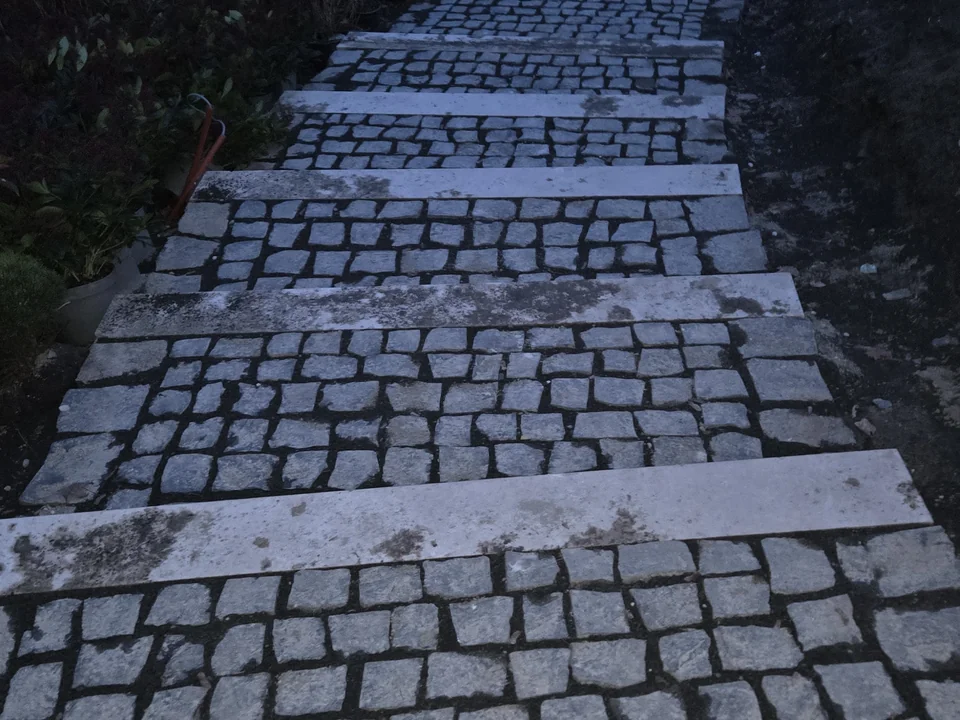Növények mellett épített kő támfal
